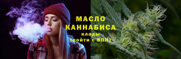 молекула духа Инсар