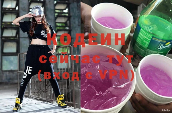 первитин Инта