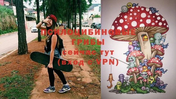 первитин Инта