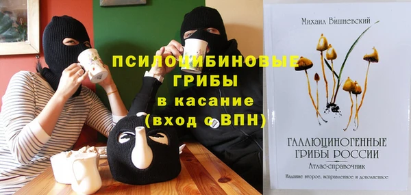 первитин Инта