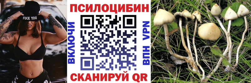 Галлюциногенные грибы Psilocybine cubensis  Купить где  Мосальск 