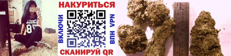 Конопля ГИДРОПОН  Купить  Мосальск 